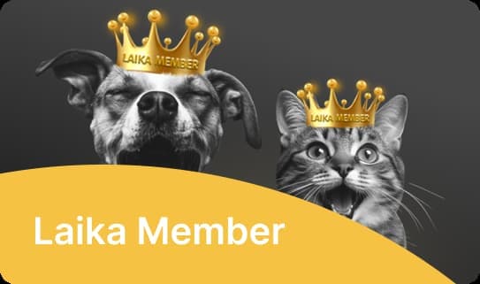 Laika Member