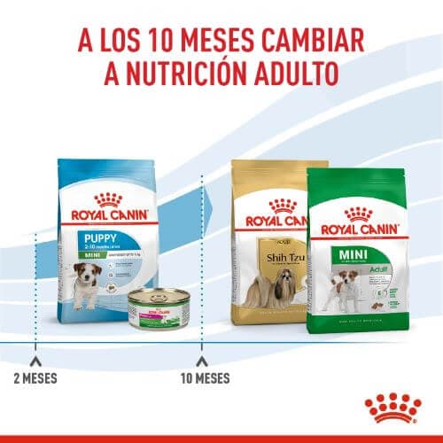 528_173885_Royal_Canin_Mini_Puppy_1658782098_500x500.jpg