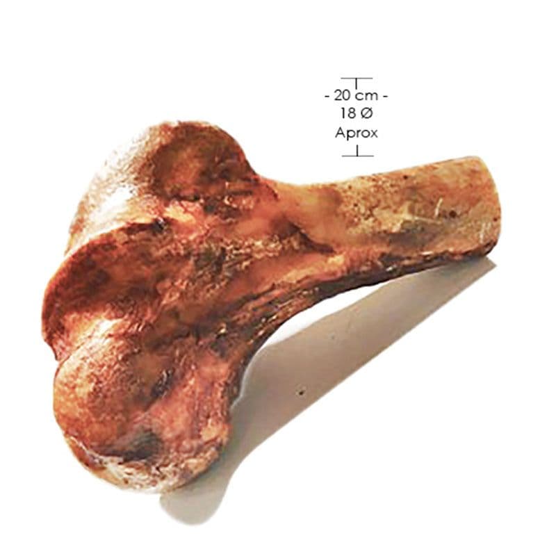 82543_Mypet____Femur_A_La_Mitad_1664824644_1_800x800.jpg
